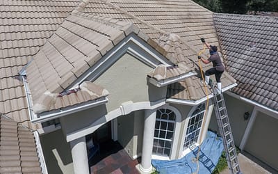 Softwashing vs. Power Washing